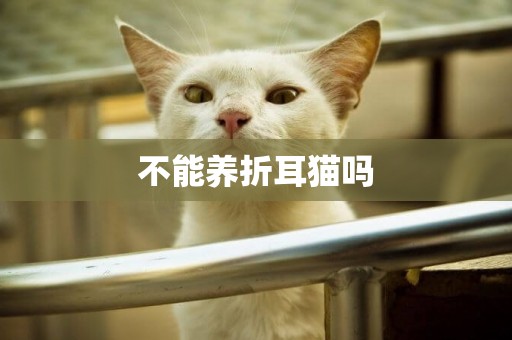 不能養折耳貓嗎