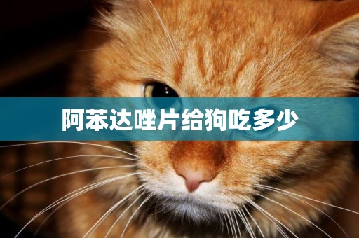 阿苯達唑片給狗吃多少