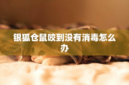 銀狐倉鼠咬到沒有消毒怎么辦