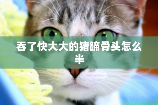 吞了快大大的豬蹄骨頭怎么半