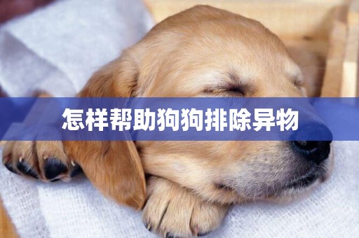 怎樣幫助狗狗排除異物