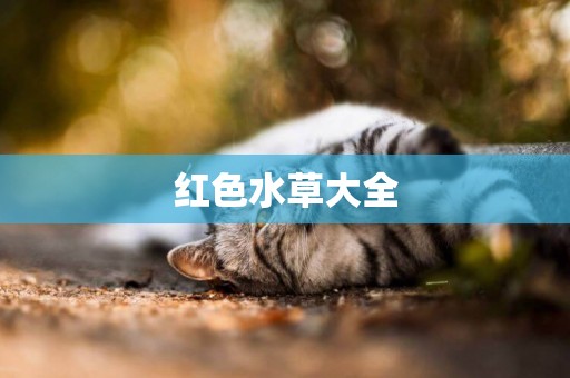 紅色水草大全