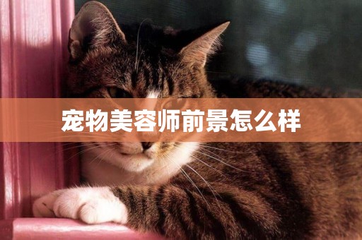 寵物美容師前景怎么樣