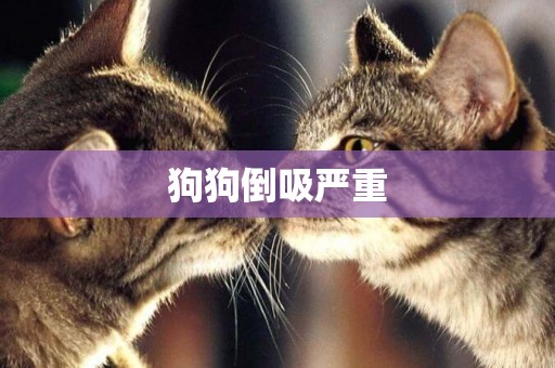 狗狗倒吸嚴重