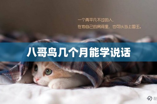 八哥鳥幾個月能學說話