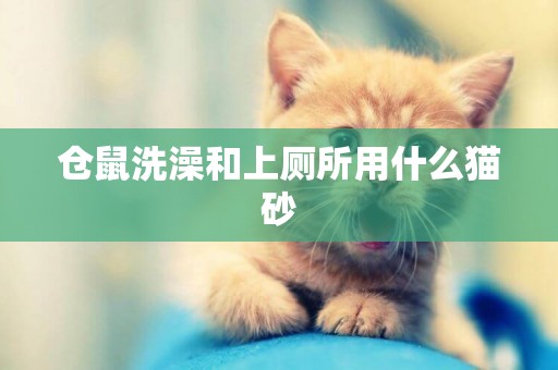 倉鼠洗澡和上廁所用什么貓砂