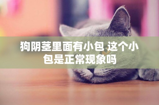 狗陰莖里面有小包 這個小包是正常現象嗎