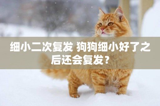 細小二次復發 狗狗細小好了之后還會復發？
