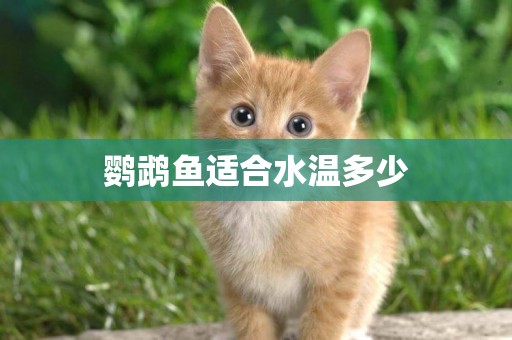 鸚鵡魚適合水溫多少