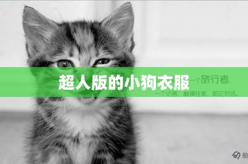 超人版的小狗衣服