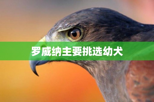 羅威納主要挑選幼犬