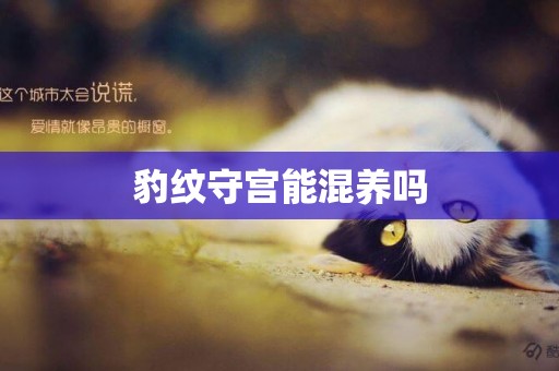 豹紋守宮能混養嗎