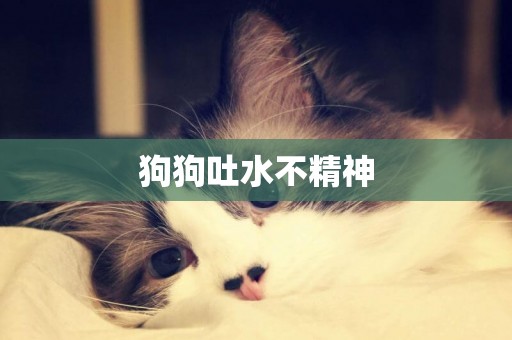 狗狗吐水不精神