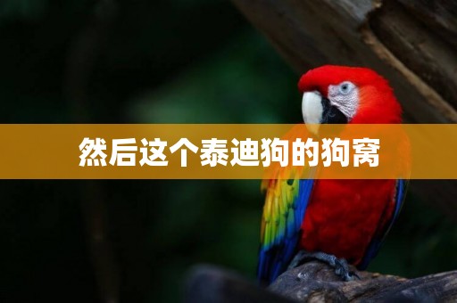 然后這個泰迪狗的狗窩