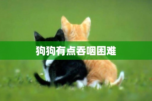 狗狗有點吞咽困難