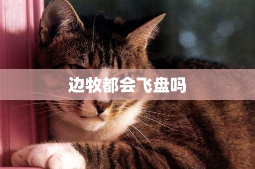 邊牧都會飛盤嗎