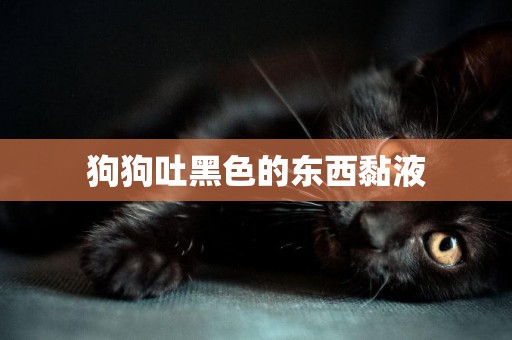 狗狗吐黑色的東西黏液