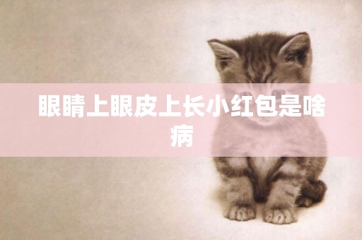 眼睛上眼皮上長小紅包是啥病
