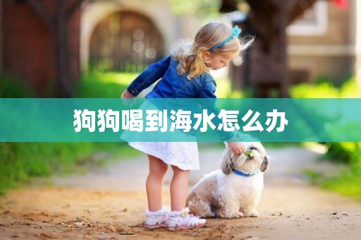 狗狗喝到海水怎么辦