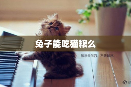 兔子能吃貓糧么