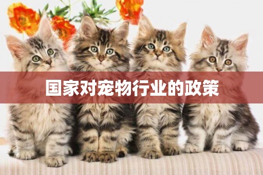 國家對寵物行業的政策