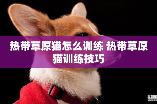 熱帶草原貓怎么訓練 熱帶草原貓訓練技巧