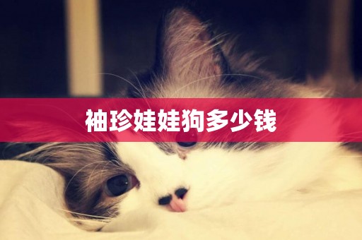 袖珍娃娃狗多少錢