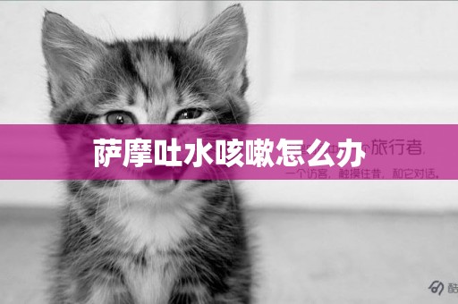 薩摩吐水咳嗽怎么辦