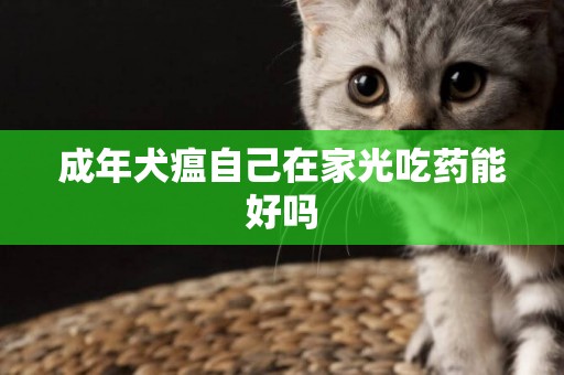 成年犬瘟自己在家光吃藥能好嗎
