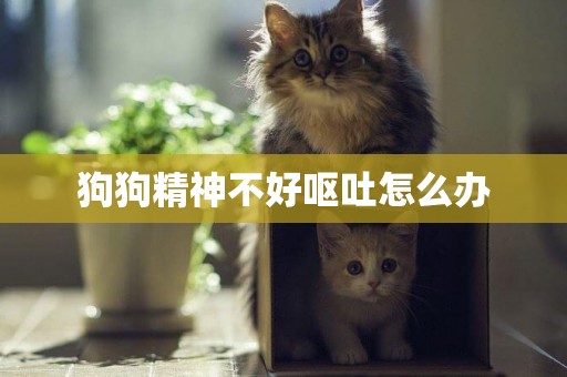 狗狗精神不好嘔吐怎么辦