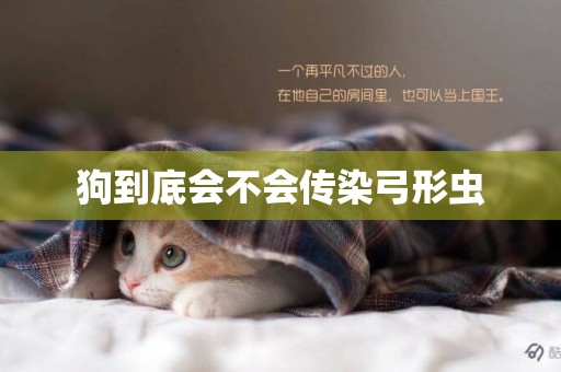狗到底會不會傳染弓形蟲