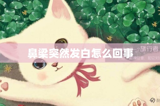鼻梁突然發白怎么回事
