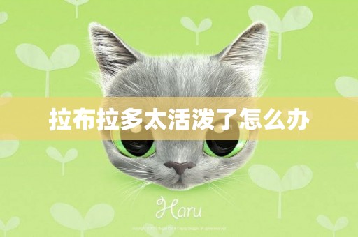 拉布拉多太活潑了怎么辦