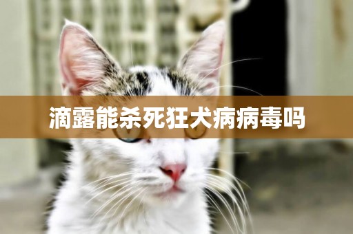 滴露能殺死狂犬病病毒嗎