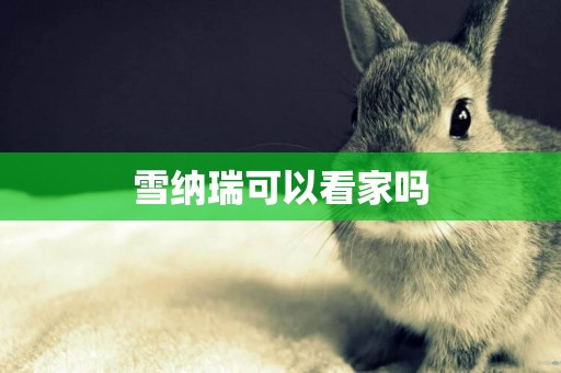 雪納瑞可以看家嗎