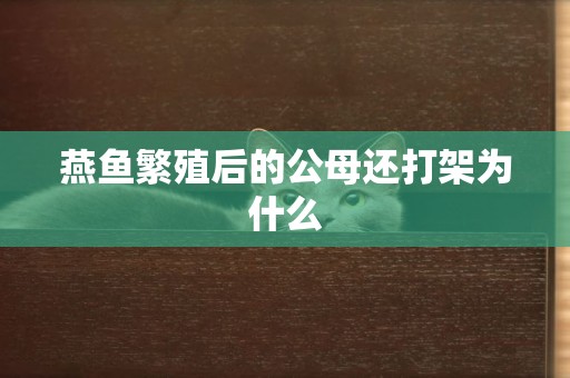 燕魚繁殖后的公母還打架為什么