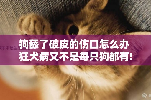 狗舔了破皮的傷口怎么辦 狂犬病又不是每只狗都有!