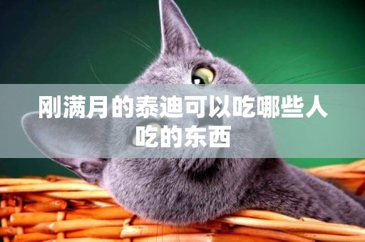 剛滿月的泰迪可以吃哪些人吃的東西