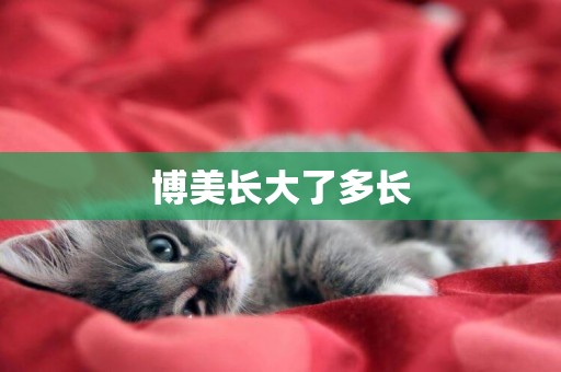 博美長大了多長