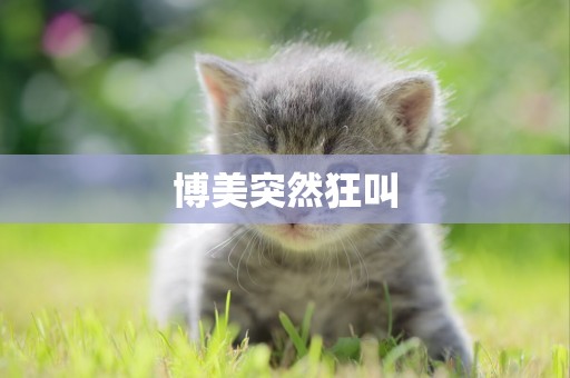 博美突然狂叫