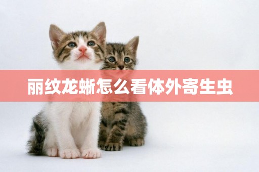 麗紋龍蜥怎么看體外寄生蟲