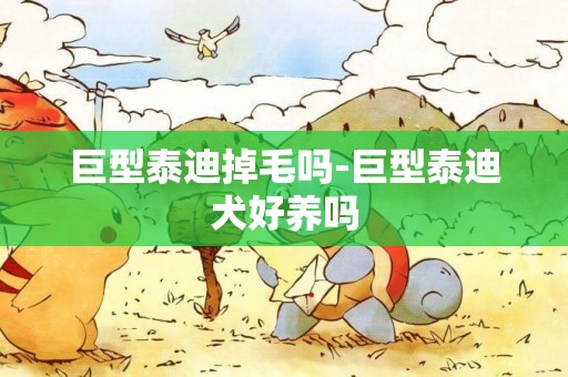 巨型泰迪掉毛嗎-巨型泰迪犬好養嗎