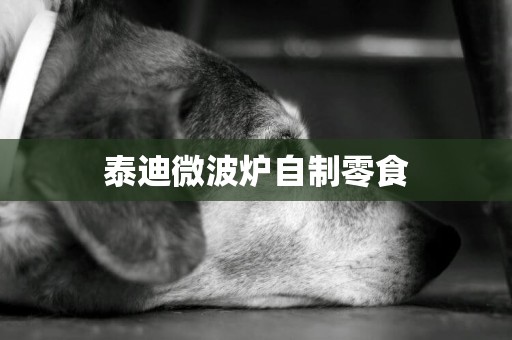 泰迪微波爐自制零食