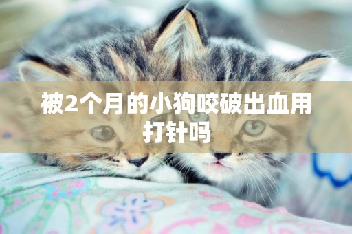 被2個月的小狗咬破出血用打針嗎