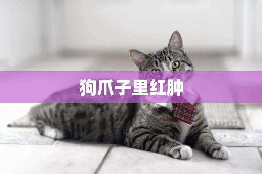 狗爪子里紅腫