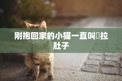 剛抱回家的小貓一直叫還拉肚子