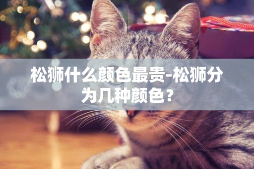 松獅什么顏色最貴-松獅分為幾種顏色？