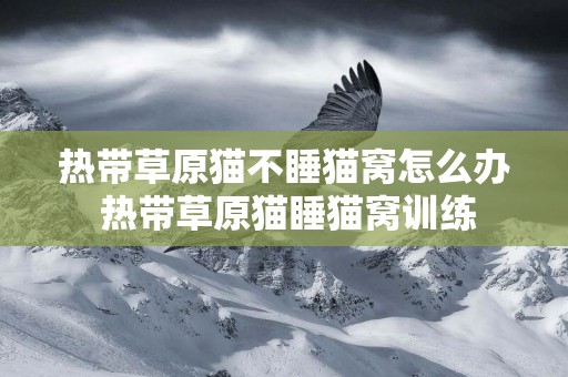 熱帶草原貓不睡貓窩怎么辦 熱帶草原貓睡貓窩訓練