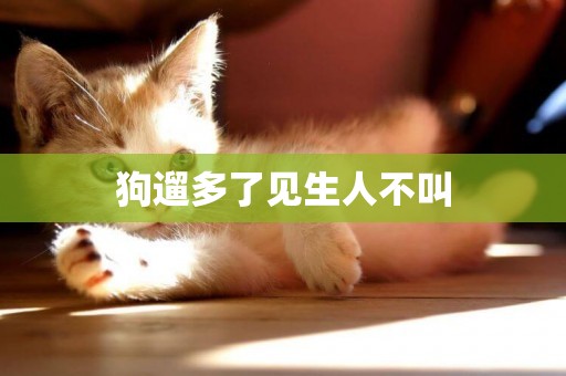 狗遛多了見生人不叫