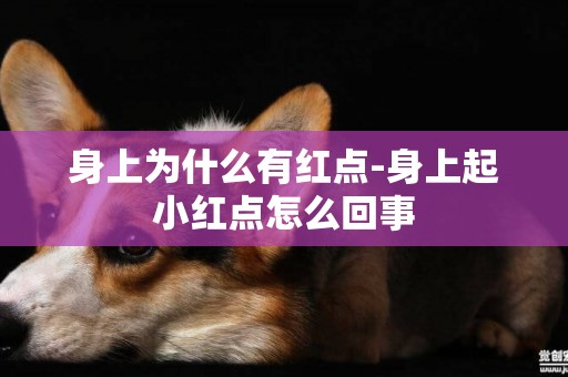 身上為什么有紅點-身上起小紅點怎么回事
